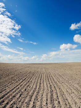 ploughed field under blue sky