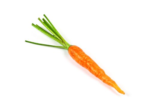 fresh carrot vegetable