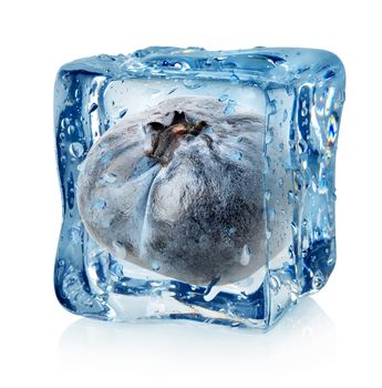 Blueberry in ice cube