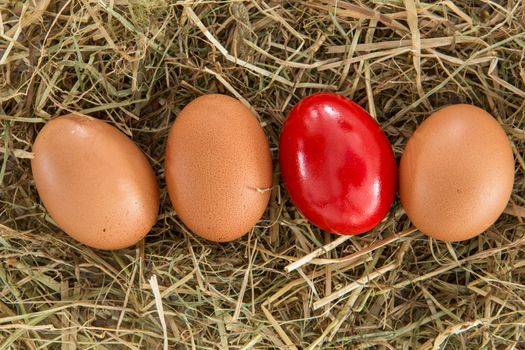 Red egg on straw with plain ones