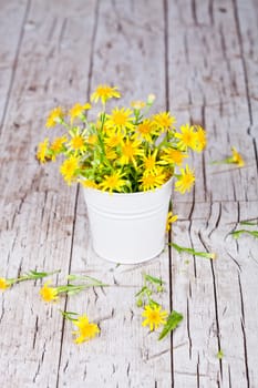 wild yellow flowers in bucket