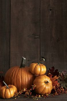 Group of gourds and pumpkin against a wood background