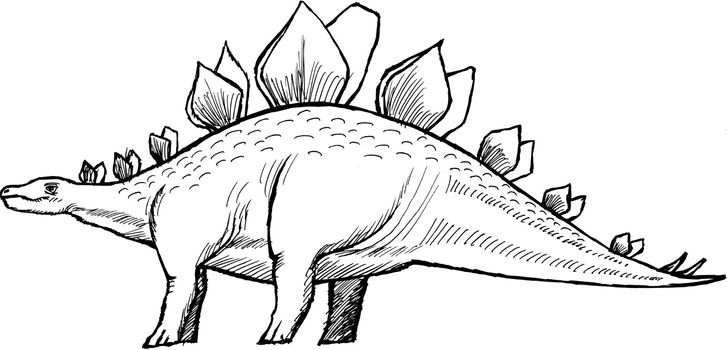 hand drawn, vector, sketch illustration of stegosaurus