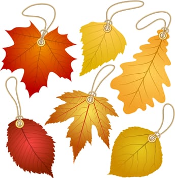 Hanging vector tags with autumn leaves.