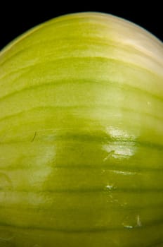 Onion close up