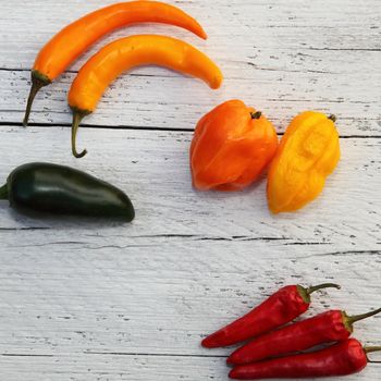 Bright colourful assorted fresh whole peppers including red hot chilli peppers and sweet bell peppers or capsicum on a background of white painted wooden planks with copyspace, overhead view