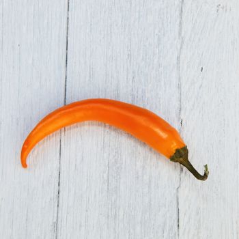 Single orange capsicum pepper