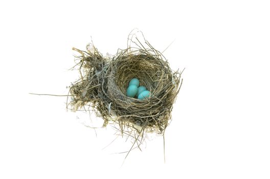 Robin's Bird Nest