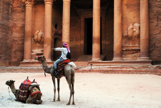 Camels in front of Al Khazneh, Petra