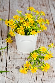 wild yellow flowers in bucket 