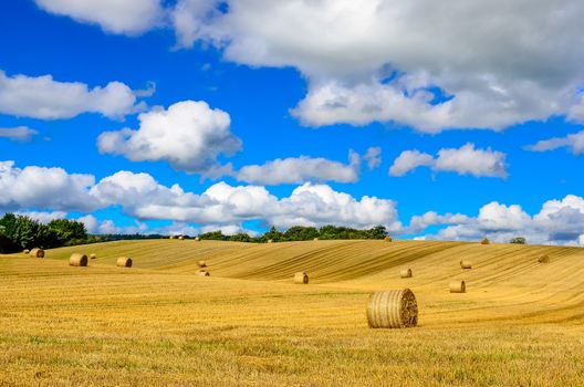 Curvy barley field with straw bales and blue cloudy sky