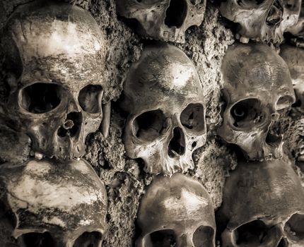 Wall full of skulls and bones