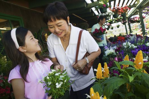 Grandmother and granddaughter in plant nursery