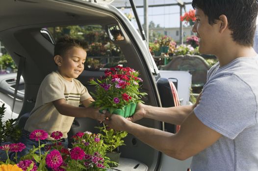 Father passing flower pot to son in back of a minivan at the plant nursery