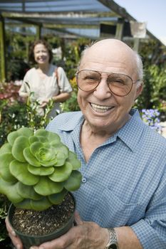 Senior man standing in plant nursery holding cactus plant portrait