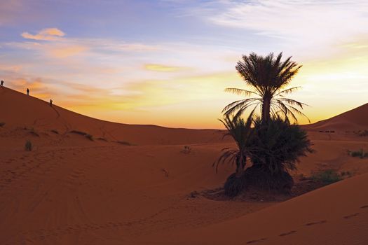 Sunset in the Erg Chebbi desert in Morocco Africa