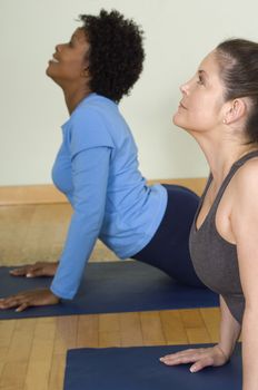 Women performing yoga on mat