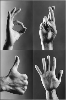 Four hands gesturing (b&w)