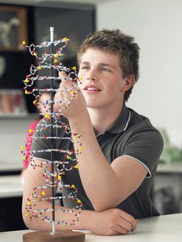 Teenage boy examining DNA model in science class