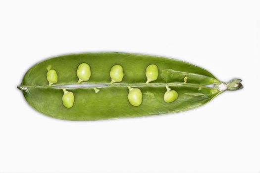 Closeup of peas in a pod isolated over white background