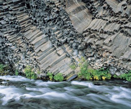 Plants and river at base of columnar basalt cliff