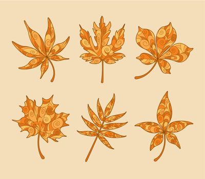 Patterned Autumn Maple Leaves