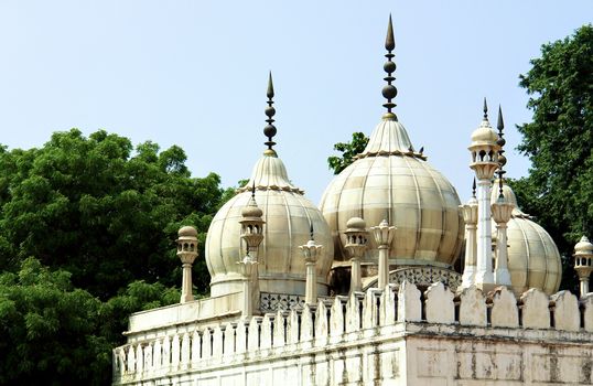 Pearl Mouque 'moti-masjid' in, Famous Fort also known as Lal Qil
