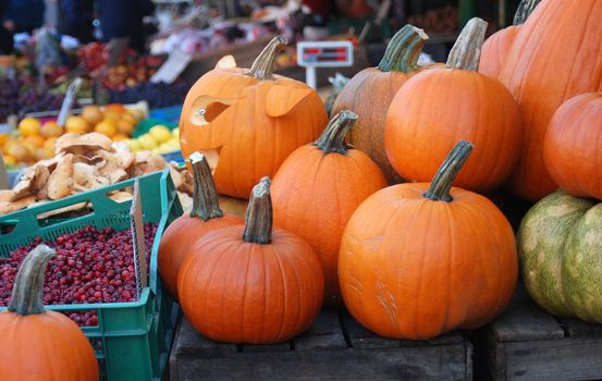 fresh pumpkin on market in autumn