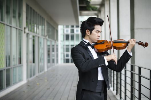 asia man with his violin