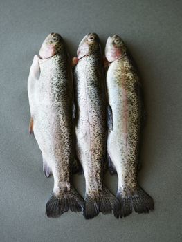 Closeup of three dead fish lying side by side on gray surface