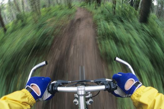 Bicyclist Manoeuvring Down Path through forest