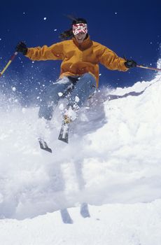 Skier skiing through snow jumping from snow bank