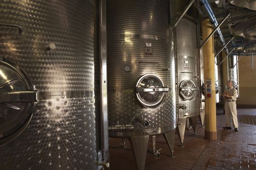 Middle aged man inspecting wine vats inside winery