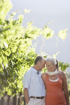 Romantic middle aged couple standing in vineyard