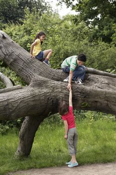 Three friends (7-9) climbing on fallen tree