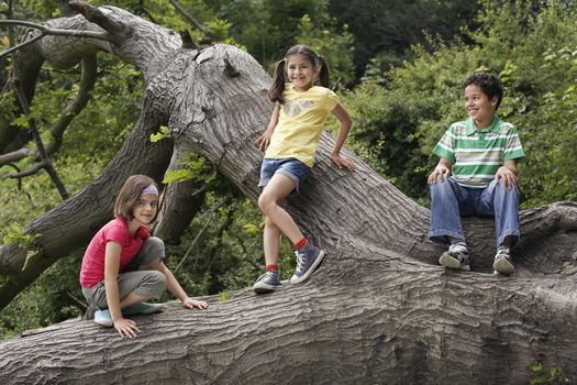 Three friends (7-9) on fallen tree
