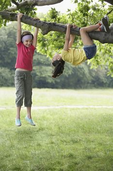 Full length of playful girls hanging on tree branch