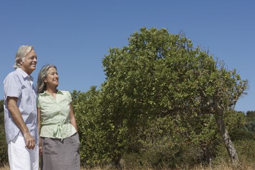 Smiling mature couple by tree and clear blue sky