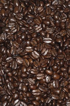 Close-up on coffee beans full frame