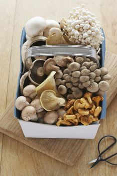 Assorted mushroom in basket on table elevated view