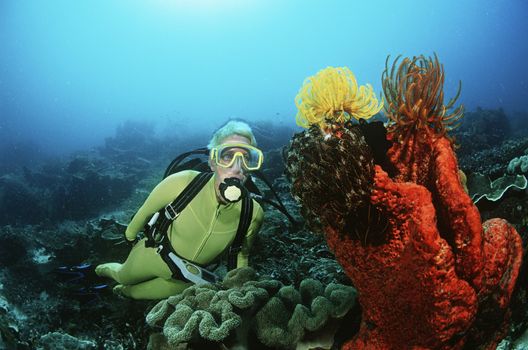 Raja Ampat Indonesia Pacific Ocean female scuba diver swimming by coral reef