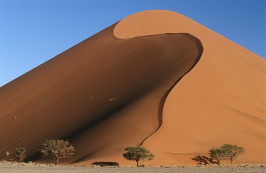 Namibia Namib Desert sand dunes