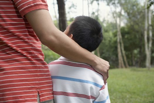 Rear view of father and son standing arm around in park