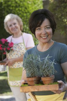 Portrait of a happy woman holding potted plants with mother standing in the background