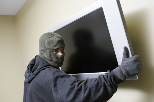 Thief in balaclava stealing flat screen television from house