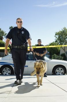 Full length of a police officer walking with trained dog at crime scene