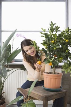 Woman tending potted orange tree at home