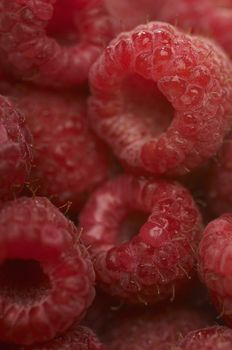 Detailed image of fresh raspberries