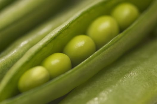Detail of open green bean's pod