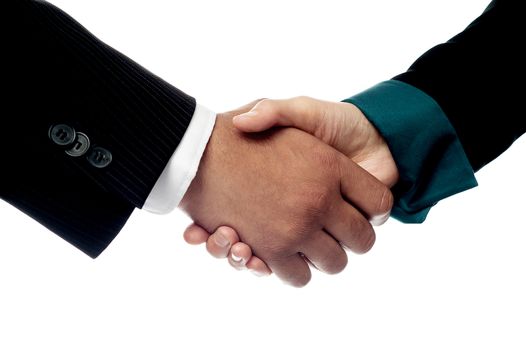 Businessmen shaking hands, closeup shot.